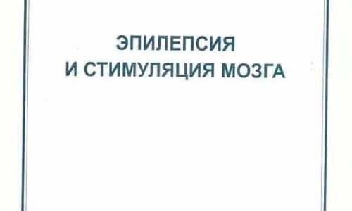 Титульный лист книги 'Эпилепсия и стимуляция мозга', авторы Р.Ф. Гимранов и Е.Н. Ерёмина, Москва, 2004 год
