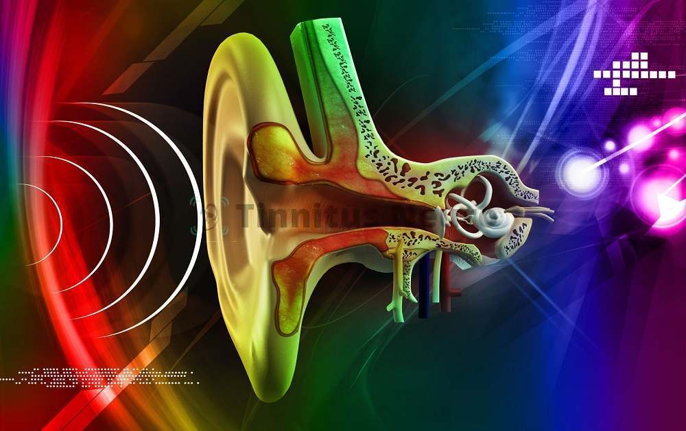 Аудиограмма позволяет выявить важные свойства шума в ушах