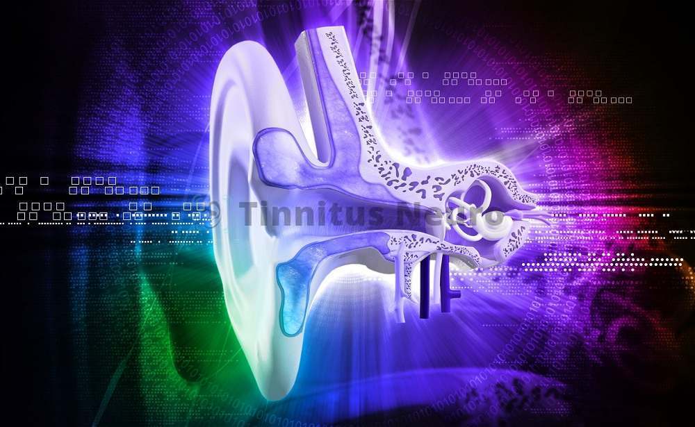 Для обследования органа слуха применяется аудиометрия