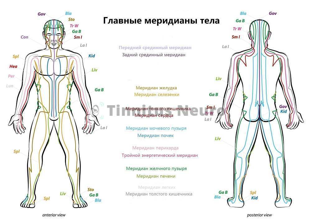 Знание энергетически меридианов - важнейшее для рефлексотерапевта