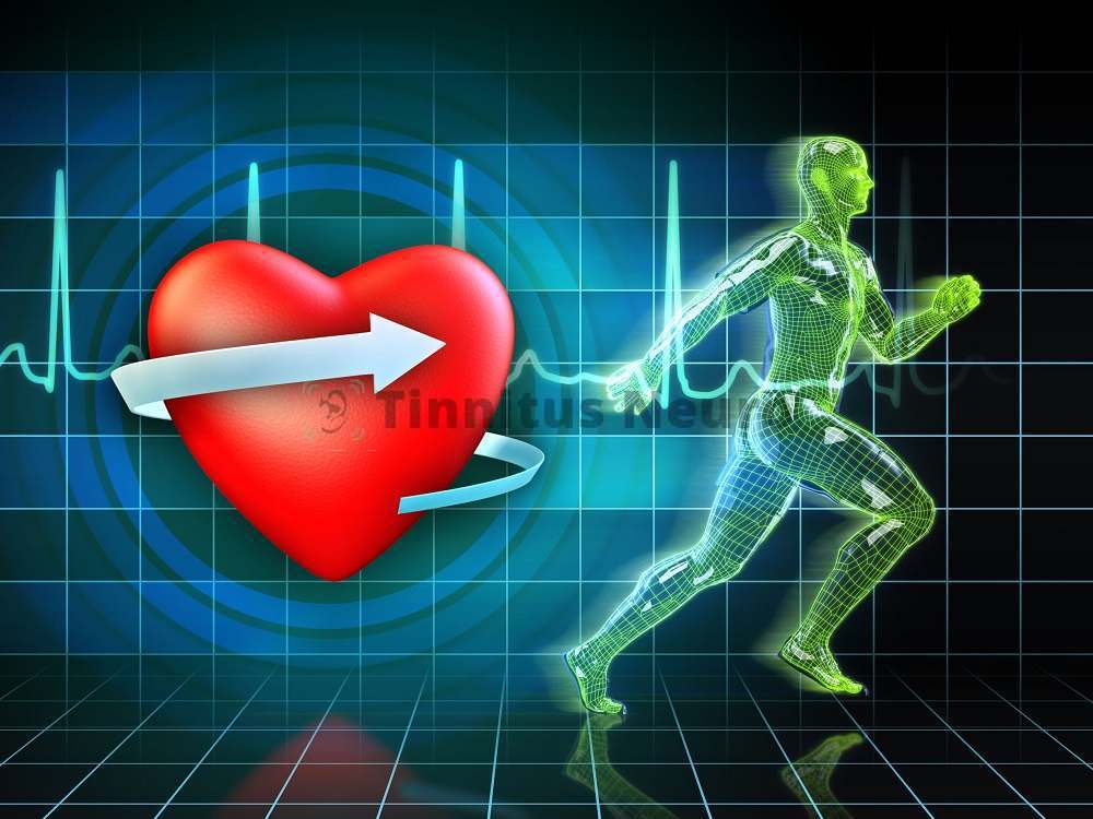 Исследование функции сердца под нагрузкой