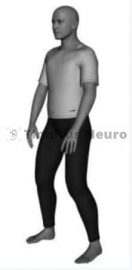 Первая позиция упражнения Дерево