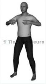 Вторая позиция упражнения Дерево