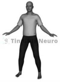 Четвертая позиция упражнения Дерево