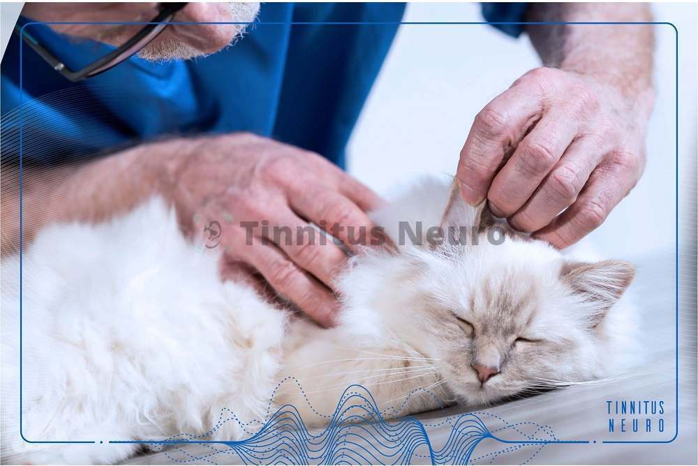 Чистка ушей от серы