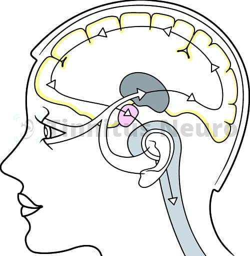 Принцип зрительной стимуляции в лечении тиннитуса